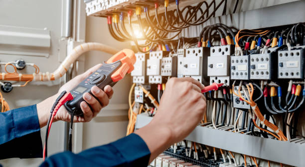Best Electric Panel Repair  in Ripley, WV