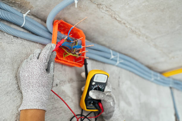 Best Electrical Repair Services  in Ripley, WV